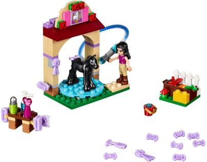 LEGO Friends 41123 Mytí hříbátka - Poškozený obal