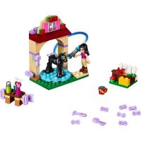 LEGO Friends 41123 Mytí hříbátka - Poškozený obal 2