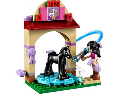 LEGO Friends 41123 Mytí hříbátka - Poškozený obal