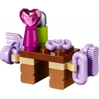 LEGO Friends 41123 Mytí hříbátka - Poškozený obal 4