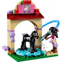LEGO Friends 41123 Mytí hříbátka 3