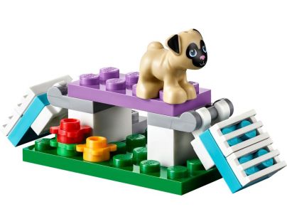 LEGO Friends 41124 Péče o štěňátka v Heartlake