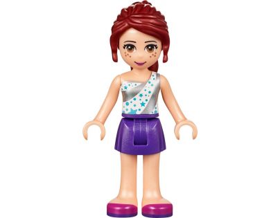 LEGO Friends 41300 Soutěž štěňátek