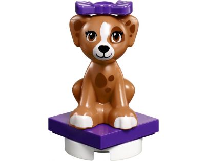 LEGO Friends 41302 Péče o štěňátka