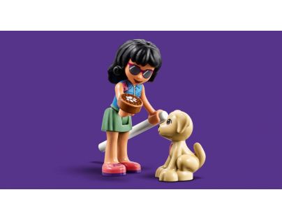 LEGO® Friends 41446 Veterinárna klinika v mestečku Heartlake