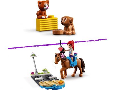 LEGO® Friends 41446 Veterinárna klinika v mestečku Heartlake