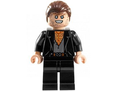 LEGO Harry Potter 10217 Příčná ulice™