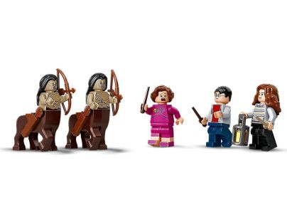 LEGO® Harry Potter™ 75967 Zakázaný les Stretnutie Grawpa s profesorkou Umbridgeovou