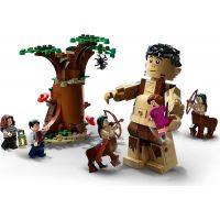 LEGO® Harry Potter™ 75967 Zakázaný les Stretnutie Grawpa s profesorkou Umbridgeovou 3