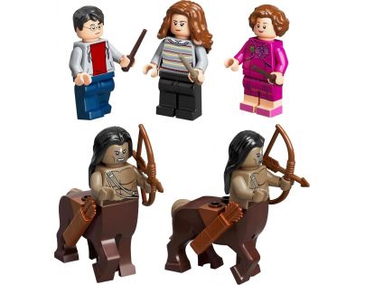 LEGO® Harry Potter™ 75967 Zakázaný les Stretnutie Grawpa s profesorkou Umbridgeovou