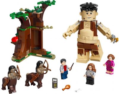 LEGO® Harry Potter™ 75967 Zakázaný les Stretnutie Grawpa s profesorkou Umbridgeovou