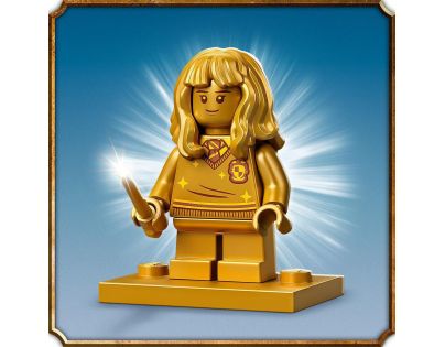 LEGO® Harry Potter ™ 76387 Rokfort stretnutie s Chĺpkom