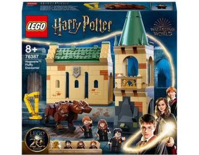 LEGO® Harry Potter ™ 76387 Rokfort stretnutie s Chĺpkom