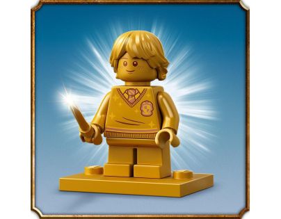LEGO® Harry Potter ™ 76388 Výlet do Rokvillu