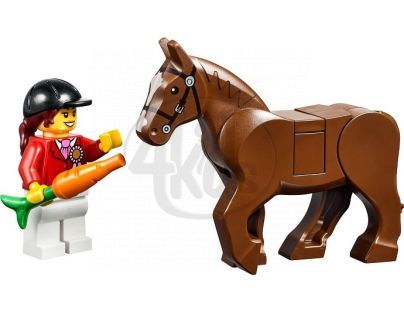 LEGO Juniors 10674 - Poník z farmy