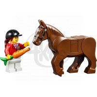 LEGO Juniors 10674 - Poník z farmy 6
