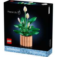 LEGO® 11504 BOTANICALS 11504 3