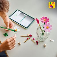 LEGO® Botanicals 11514 Krásenky 6