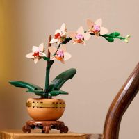 LEGO® Botanicals 10343 Miniatúrna orchidea 5