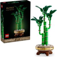 LEGO® Botanicals 10344 Bambus šťastia