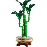 LEGO® Botanicals 10344 Bambus šťastia 2