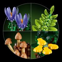 LEGO® Botanicals 11505 Lesné huby 6