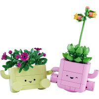 LEGO® Botanicals 11506 Houpajúce sa rastlinky 2