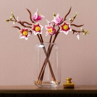 LEGO® Botanicals 11510 Vetvičky magnólie 3