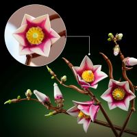 LEGO® Botanicals 11510 Vetvičky magnólie 5