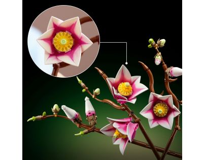 LEGO® Botanicals 11510 Vetvičky magnólie