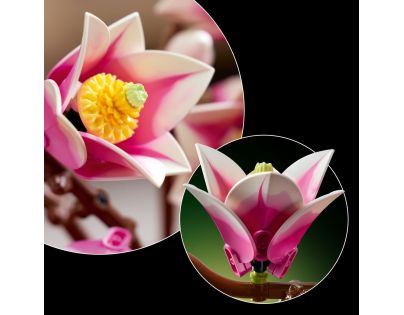 LEGO® Botanicals 11510 Vetvičky magnólie