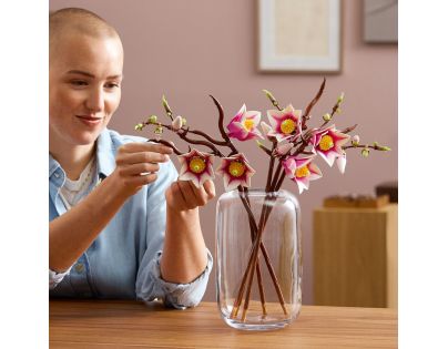 LEGO® Botanicals 11510 Vetvičky magnólie
