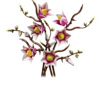 LEGO® Botanicals 11510 Vetvičky magnólie 2