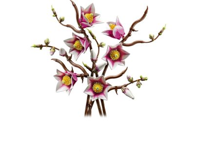 LEGO® Botanicals 11510 Vetvičky magnólie