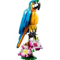 LEGO® Creator 31136 Exotický papagáj 2