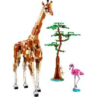 LEGO® Creator 31150 Divoké zvieratá zo safari 2