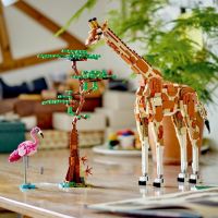 LEGO® Creator 31150 Divoké zvieratá zo safari 5