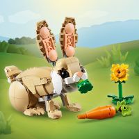 LEGO® Creator 3 v 1 31162 Roztomilý zajačik 6