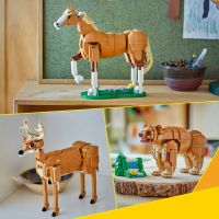 LEGO® Creator 3v1 31166 Krásny kôň 6