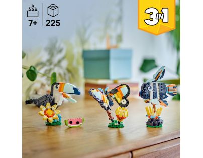 LEGO® Creator 3v1 31173 Divoké zvieratá: Tropický tukan