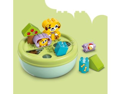 LEGO® DUPLO® 10441 Triedenie tvarov Domček pre šteniatka