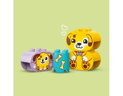 LEGO® DUPLO® 10441 Triedenie tvarov Domček pre šteniatka