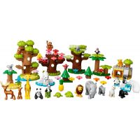 LEGO® DUPLO® 10975 Divoké zvieratá z celého sveta 2