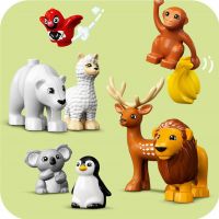 LEGO® DUPLO® 10975 Divoké zvieratá z celého sveta 6