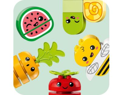 LEGO® DUPLO® 10984 Bio záhradka