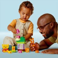 LEGO® DUPLO® Disney 10457 narodeninová oslava Macka Pú 6