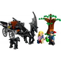 LEGO® Harry Potter™ 76400 Rokfort: Koč a testrálovia 2