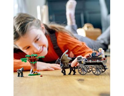 LEGO® Harry Potter™ 76400 Rokfort: Koč a testrálovia