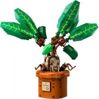 LEGO® Harry Potter™ 76433 Mandragora 2