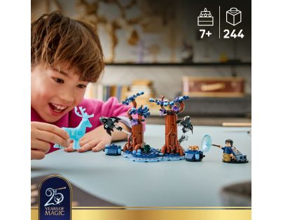 Harry Potter 76475 Zakázaný les: Expecto Patronum